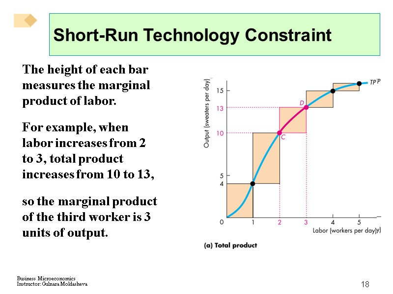 18 Short-Run Technology Constraint The height of each bar measures the marginal product of